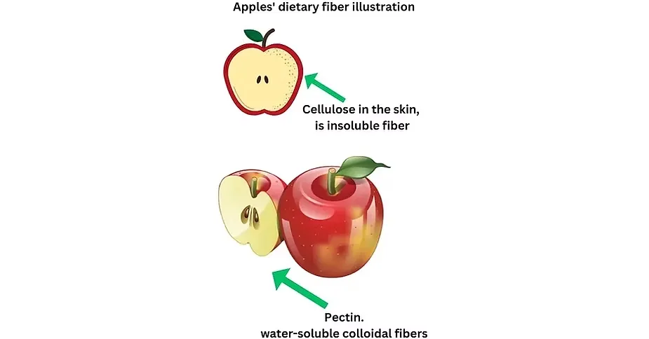 Apple dietary fiber illustration