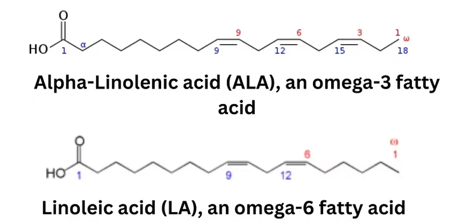Essential fatty acids chemical structure