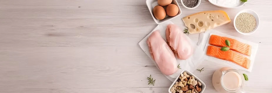Protein In Food