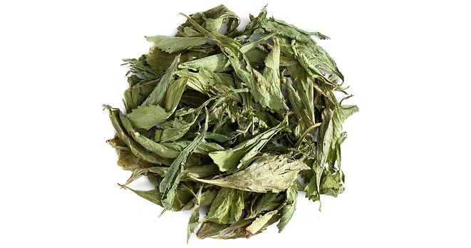 Stevia