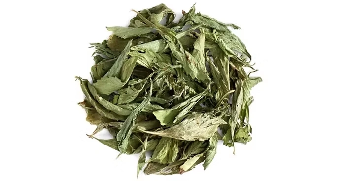 Stevia