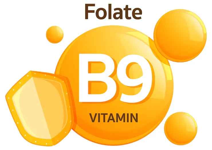 Vitamin B9