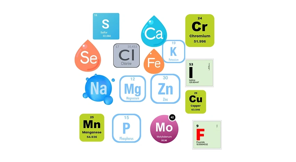 What are minerals