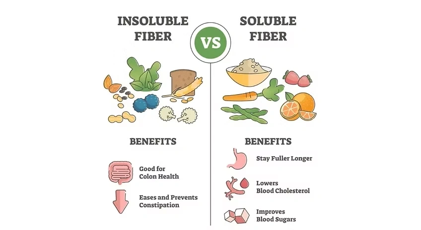 insoluble fiber vs soluble fiber