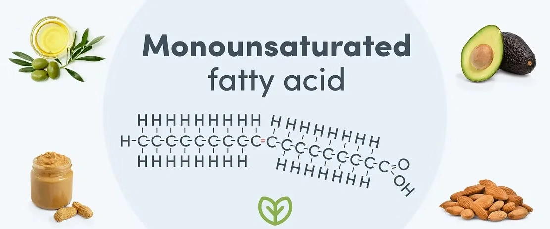 monounsaturated fatty acids