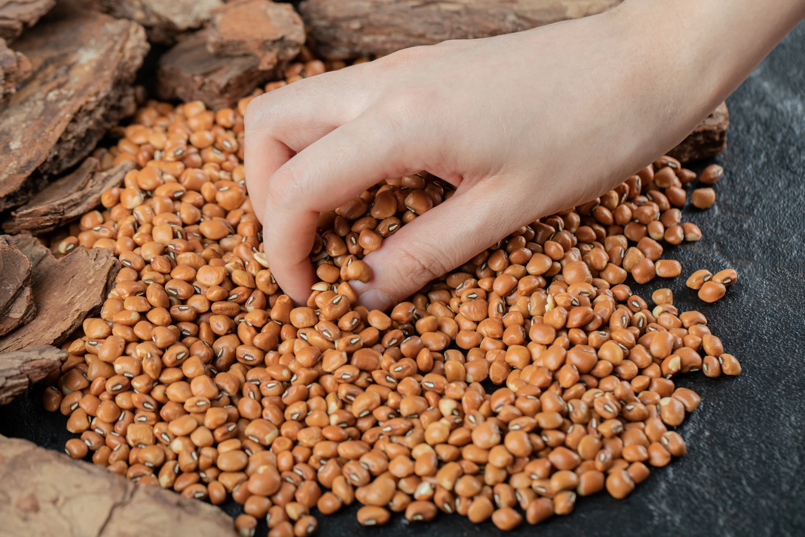 Beans, Dry, Tan (0% moisture)