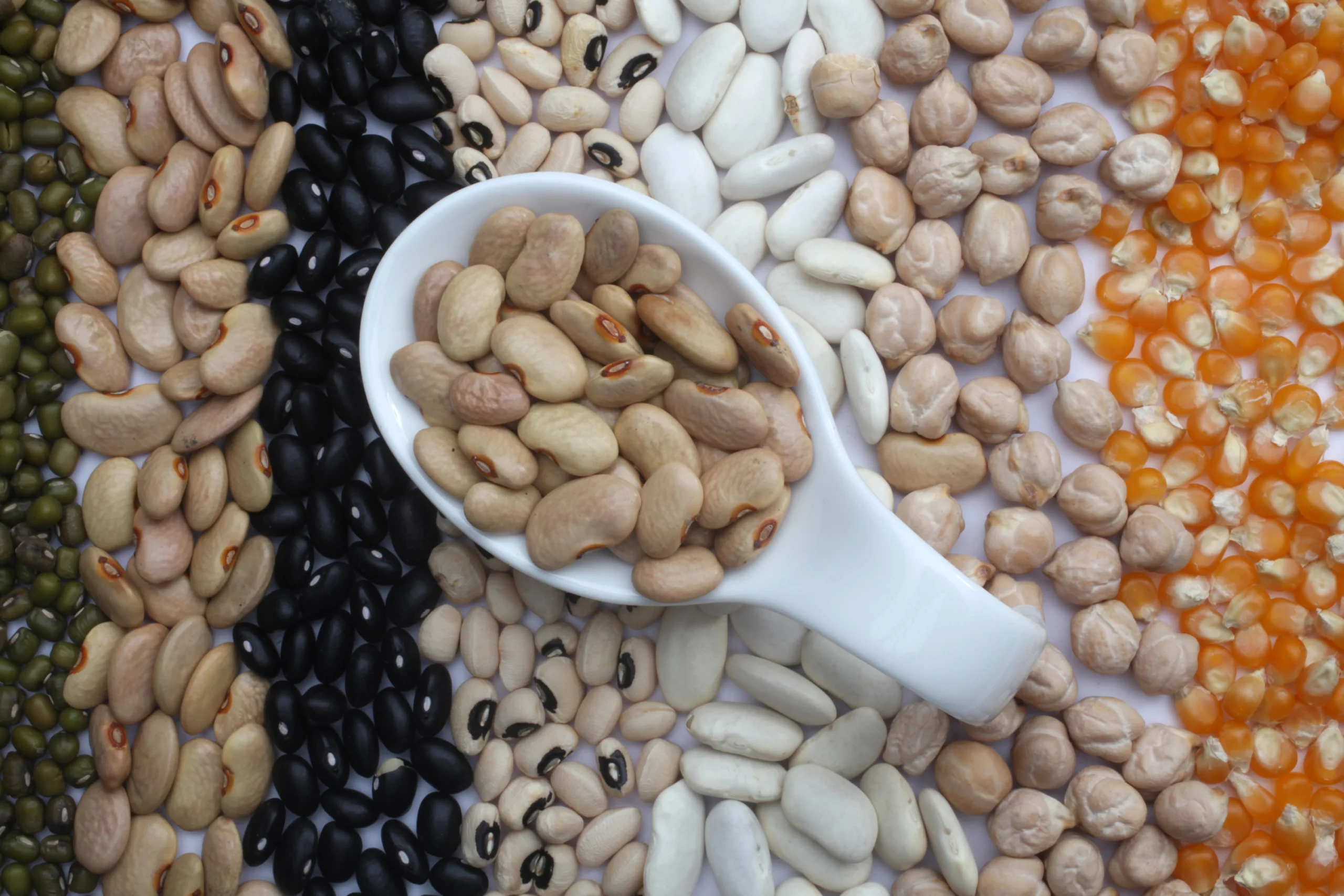 Beans, cannellini, canned, sodium added, drained and rinsed