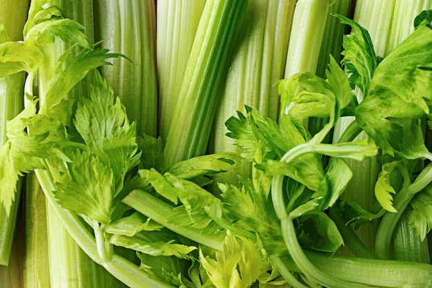 Celery, raw