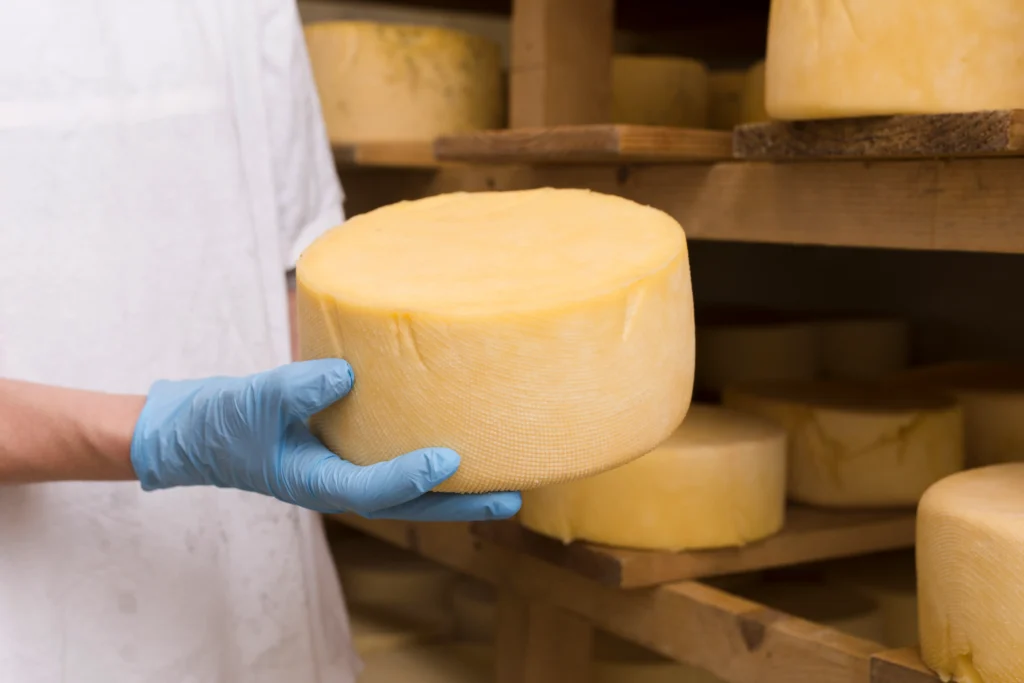 Cheese, pasteurized process, American, vitamin D fortified
