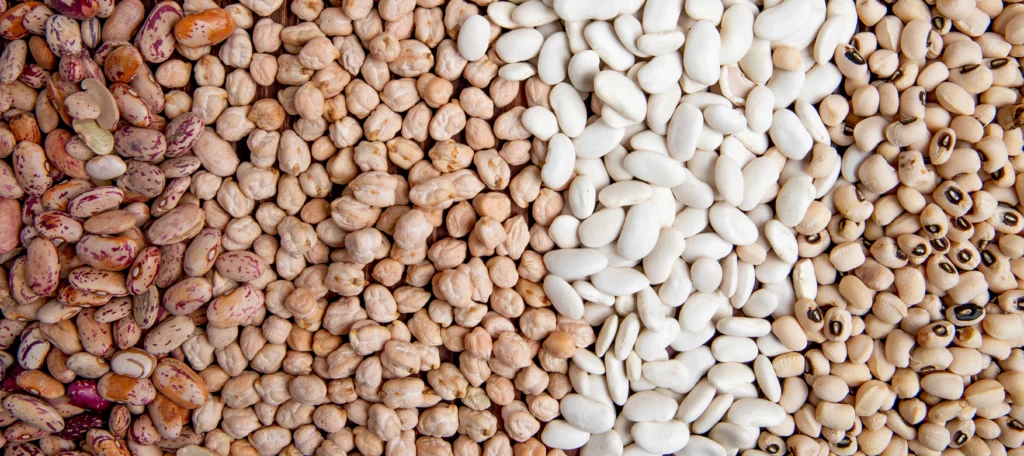 Considerations of Beans, Dry, Great Northern (0% moisture)