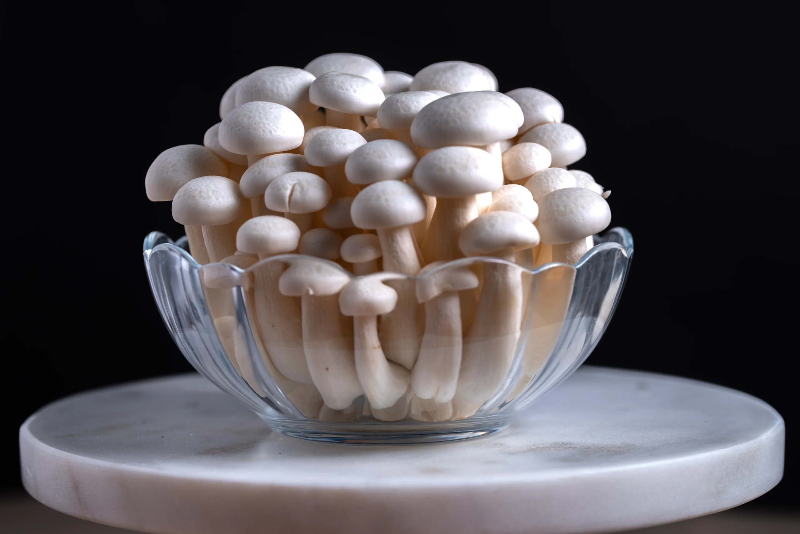 Mushroom, king oyster
