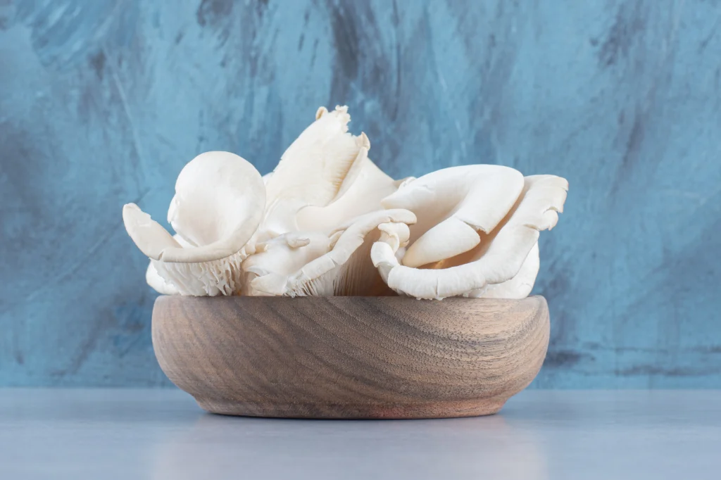 Mushroom, oyster