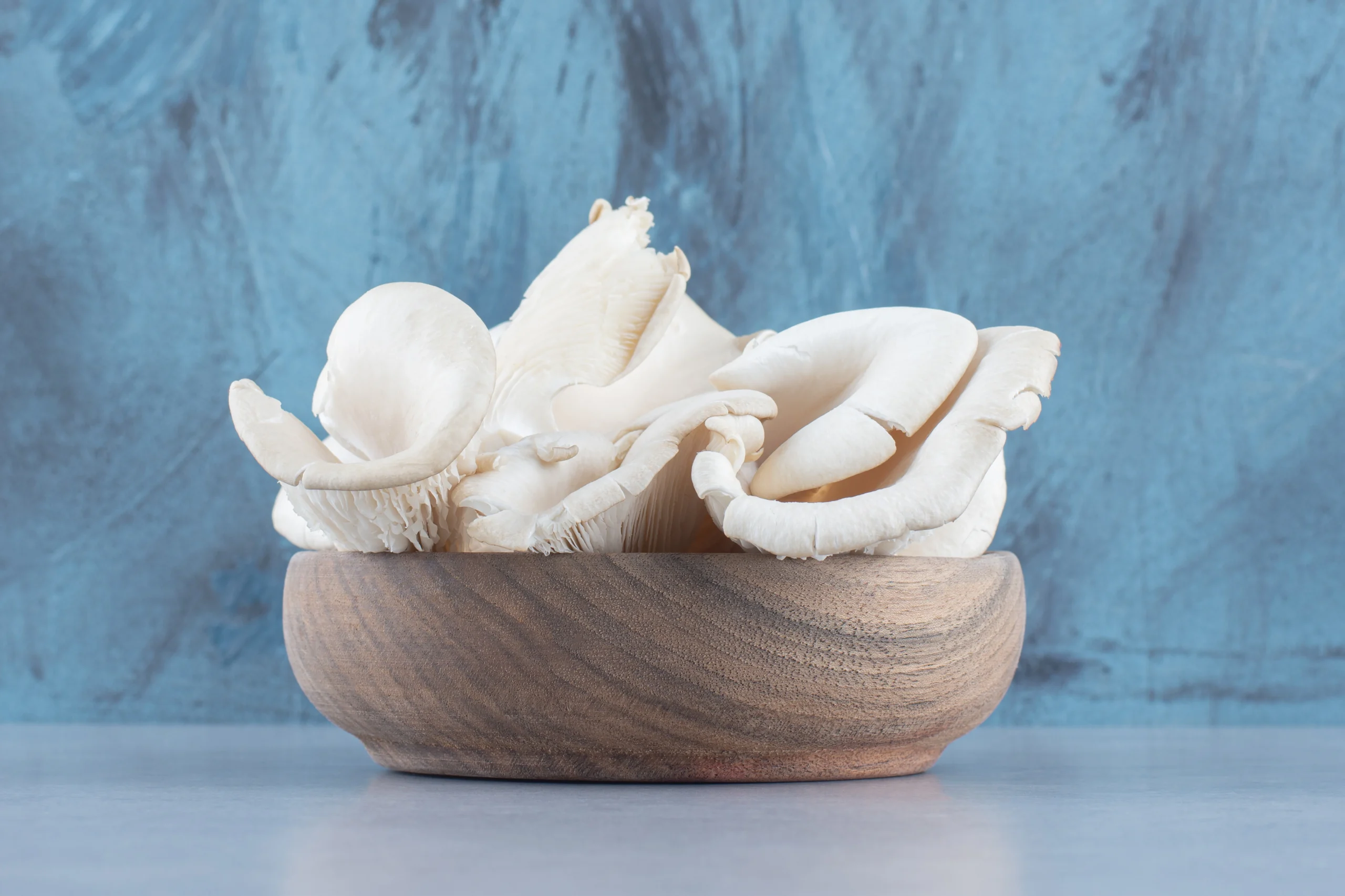 Mushroom, oyster