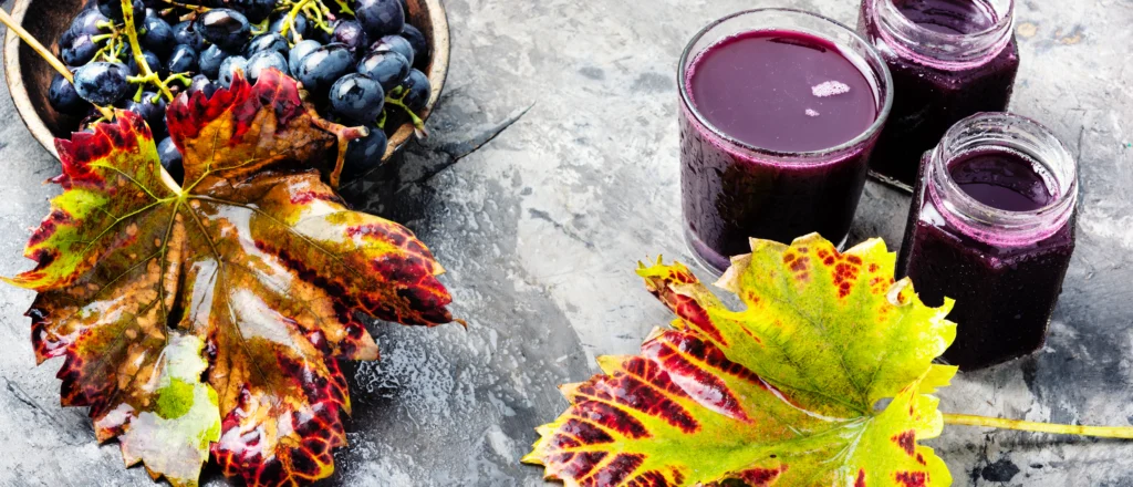 Phytonutrients Grape juice, purple, with added vitamin C, from concentrate, shelf stable