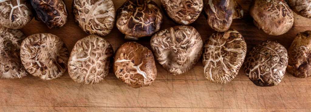Phytonutrients Mushroom, maitake