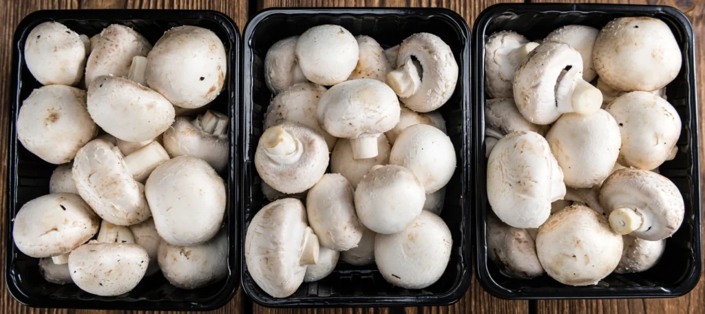 Phytonutrients Mushrooms, white button