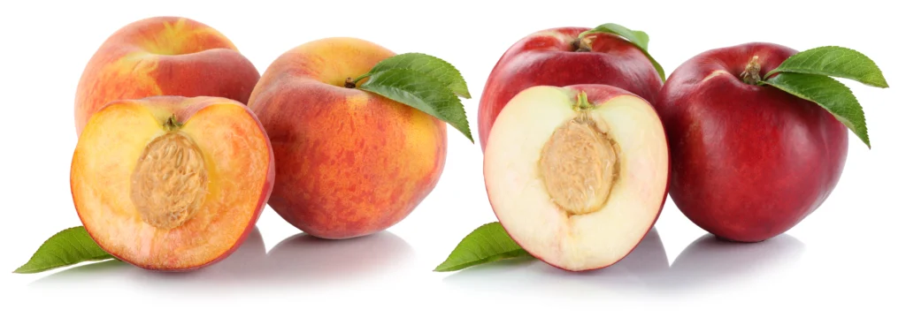 Phytonutrients Nectarines, raw