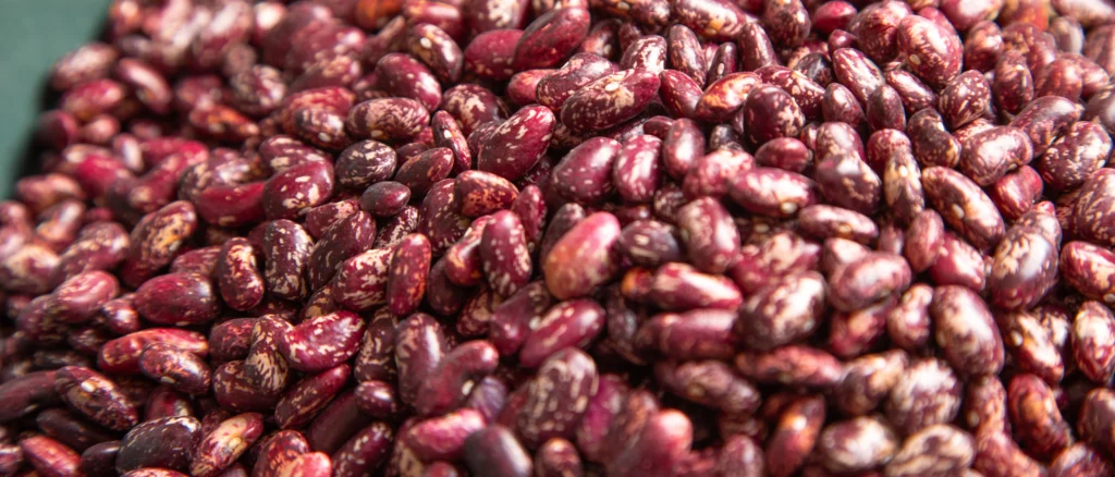 consideration of Beans, Dry, Dark Red Kidney (0% moisture)