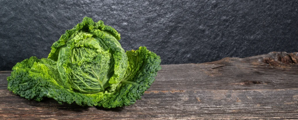 phytonutrients Lettuce, cos or romaine, raw