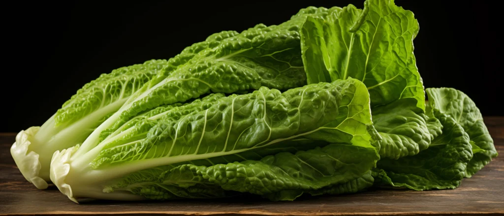 phytonutrients Lettuce, romaine, green, raw