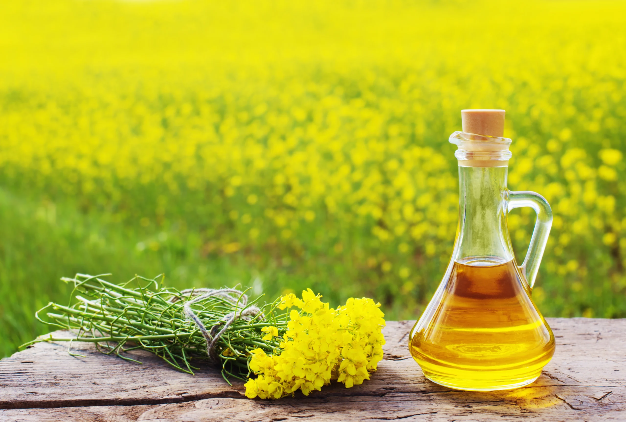 Oil, canola