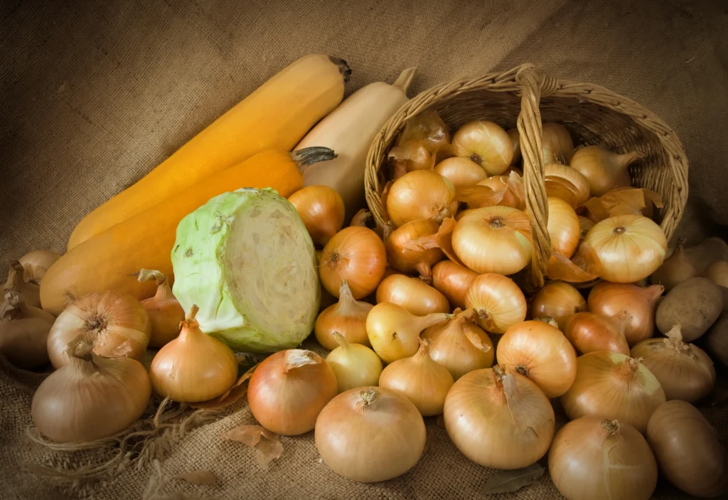 Onions, yellow, raw