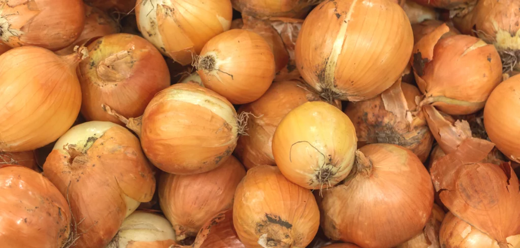Phytonutrients Onions, yellow, raw