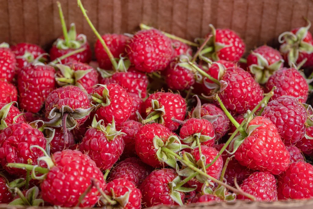 Raspberries, raw