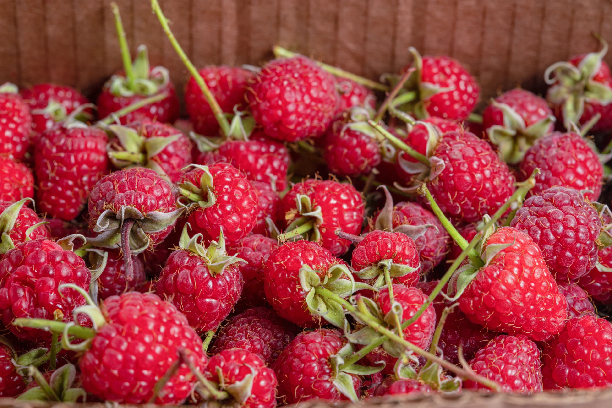 Raspberries, raw