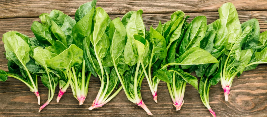 Phytonutrients Spinach, mature